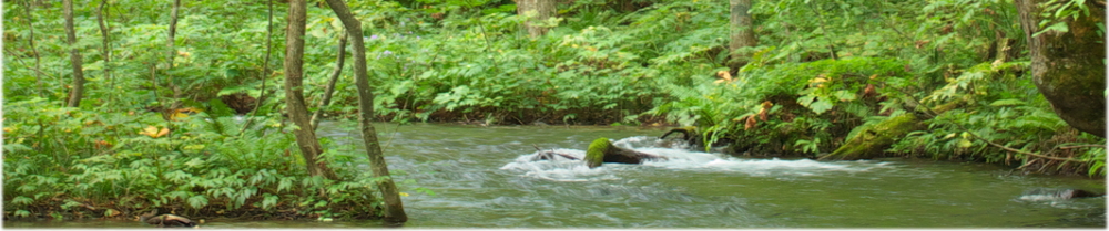 公共の宿．ＮＥＴ